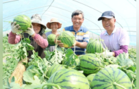 种植增收、资产增值！睢宁这处帮促薄弱村迈向百万共富村
