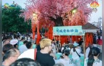 “浪游三亚·梦回洛阳”双城联动活动圆满收官 六大精品主题线路精准发布