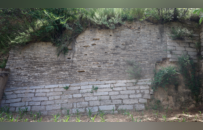 残存明代城墙遭“拆旧建新”，墙砖被“按废弃物倾倒了”，县文旅局曾两次发函县林业局未能阻止拆改