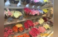 七夕“鲜花经济”升温！南昌鲜花市场备货充足价格亲民