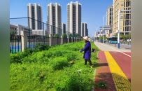 钱给了谁？电费每度2元？何为洗地费？南昌子羽路夜市疏导点收费遭质疑