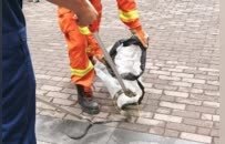 南昌街头惊现1米长剧毒眼镜蛇，遭驱赶钻入路边一辆车里，车主报警求助