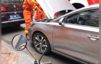 南昌街头惊现1米长剧毒眼镜蛇，遭驱赶钻入路边一辆车里，车主报警求助