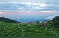 庐山这个神仙机位，藏不住了！一眼看尽八里湖全景，建议立刻收藏！