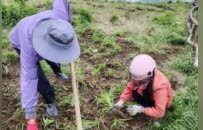 江西武功山金顶草甸今起实行生态轮休，景区回应：轮休片区约15.21亩，核心观景区域均不在封闭范围内
