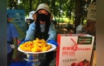 薯香满惠济 丰收启新章！2026年惠济农品・红薯丰收喜乐会盛大开启