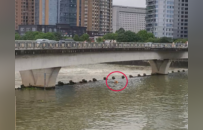 袁州蝴蝶桥畔上演生死时速！“这是一堂深刻的安全教育课！”