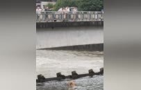 袁州蝴蝶桥畔上演生死时速！“这是一堂深刻的安全教育课！”