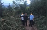 上栗公安破获一起滥伐林木案件 5人被采取刑事强制措施