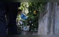 窃贼闯入法国一博物馆盗四丢二，仓皇带走两幅借展作品