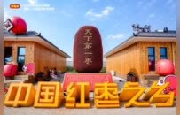 一颗红枣的“新旧动能转换”