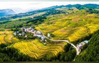 凤眼观渝 | 一个三峡库区农业县的振兴接力——重庆丰都三农观察