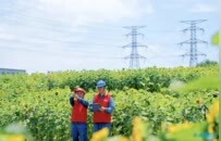 这张“网”，点亮南昌绿色发展之路