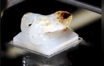 海昏侯“刘贺”螭纽玉印最新研究公布：是进入中原最早的和田籽料作品，开启中国玉器器型与纹饰并举时代