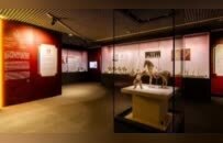 “女皇天下--武則天與神都洛陽”展覽揭幕 展現大唐兼容並蓄的盛世繁華