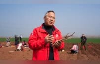一道日影，一根山药 张宝山在登封观星台守望二十四节气里的农耕智慧