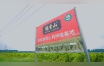 一道日影，一根山药 张宝山在登封观星台守望二十四节气里的农耕智慧