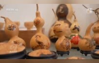 央视《焦点访谈》关注河南