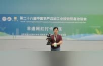 鲁山留福花瓷惊艳亮相第28届中国农产品加工业投洽会