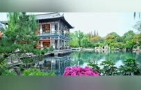济南五龙潭新添美景，三角梅盛放绘就秋日画卷