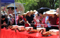 “游购东莞”金秋上线，多元活动点燃消费活力