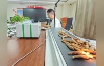 中医药频频“上新”的背后
