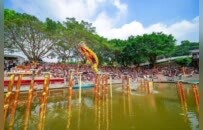 来赴大湾区艺术之约，解锁假期全新打开方式！