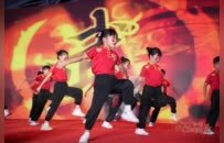 首届“同心杯”珠港澳武术交流展演在珠海高新区举行