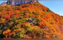 现在出发正当时！河南红叶迎来最佳观赏期