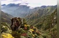 免票！江西多家景区发布重阳活动，最长连免9天