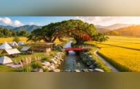 一心一河十节点！登云镇发布“百年夫妻榕”文旅IP概念规划
