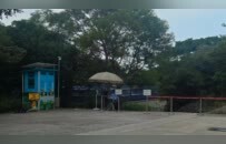 实探梅艳芳骨灰存放地：龛位位于香港宝莲禅寺海会塔，无预约也可进入