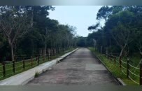 实探梅艳芳骨灰存放地：龛位位于香港宝莲禅寺海会塔，无预约也可进入