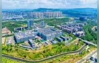 大渡口前三季度经济答卷：5.5%增速背后的“稳”与“进”