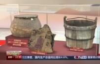 央视关注河南：从“吃饱”到“吃好” 中原粮仓让中国饭碗端得更牢