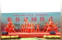 “观菊博·游菊海·逛市集”田园菊趣研学体验活动菊谷开园仪式举行