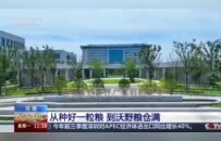 央视关注河南：从“吃饱”到“吃好” 中原粮仓让中国饭碗端得更牢