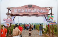 张宝山品牌传承人张小卫讲述“一根山药的200天”