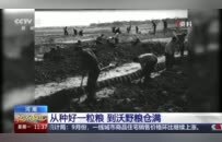 央视关注河南：从“吃饱”到“吃好” 中原粮仓让中国饭碗端得更牢