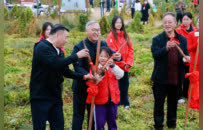 好山药知时节 张宝山第四届铁棍山药霜降采挖季启动