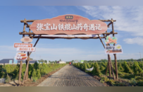 张宝山把课堂搬进山药地：一堂关于节气、土地和食养的研学课
