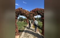 “观菊博·游菊海·逛市集”田园菊趣研学体验活动菊谷开园仪式举行