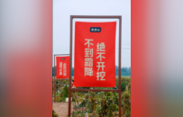 张宝山品牌传承人张小卫讲述“一根山药的200天”