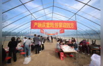 “观菊博·游菊海·逛市集”田园菊趣研学体验活动菊谷开园仪式举行