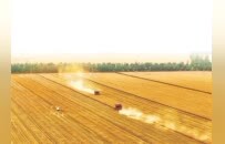 三大农业盛会，为何花落河南？
