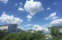 苏宁、阿里、恒大，双十一卖房大战！上万套特价房，薅羊毛有戏？