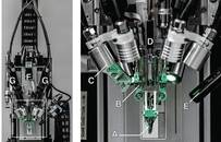 马斯克受多名科学家质疑：他的脑机接口最新、最疯狂、最具争议的点是什么？