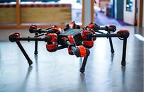 脸书机器人实验室揭密：可以在环境中自学的人工智能