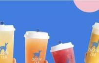 分拆小鹿茶、“倒贴”做加盟，瑞幸图什么？