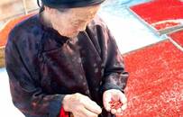 直播、带货、做网红，对，我就是那个110岁的老太婆